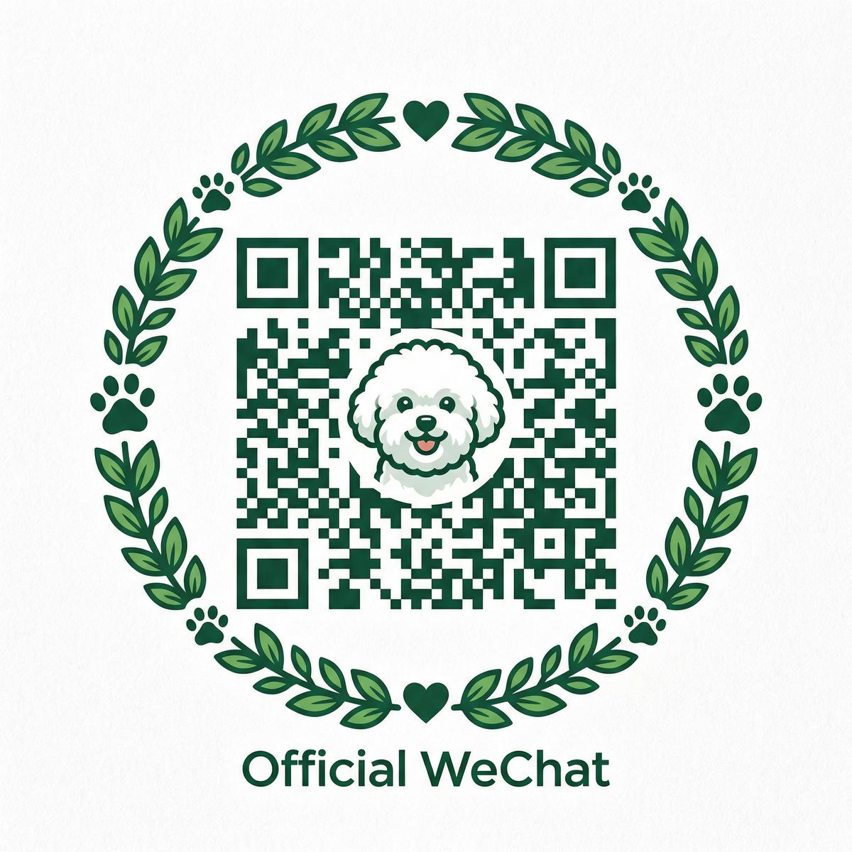 51动漫公众号二维码